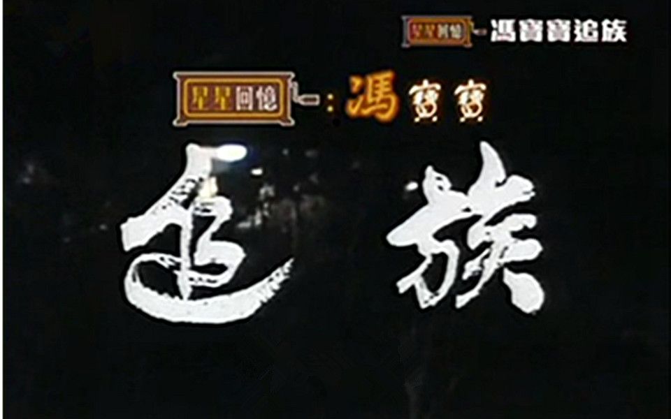 追族粤语