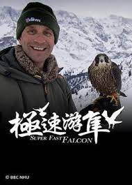 极速游隼粤语