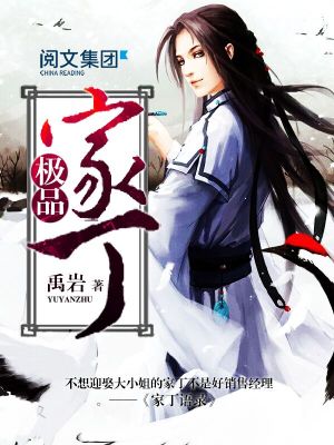 极品家丁粤语