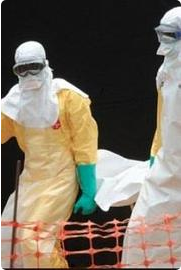 寻找治愈埃博拉病毒的方法 2014