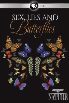 Sex  Lies and Butterflies