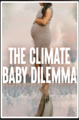 The Climate Baby Dilemma 2022