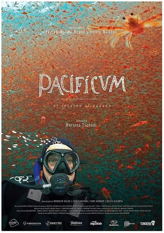 太平洋之旅,回归海洋